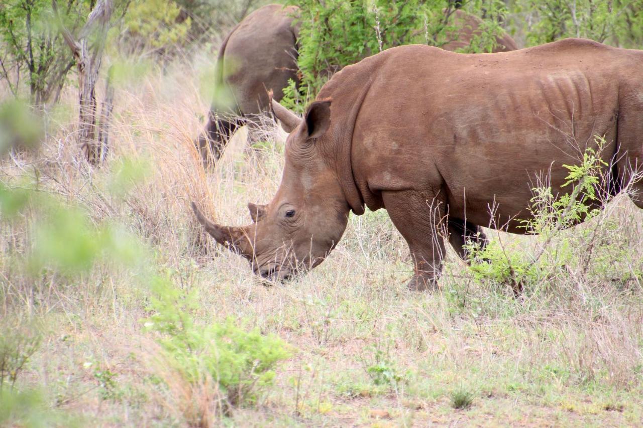Jackals Dream - Self Catering Villa Bordering Kruger National Park 玛洛斯帕克 外观 照片