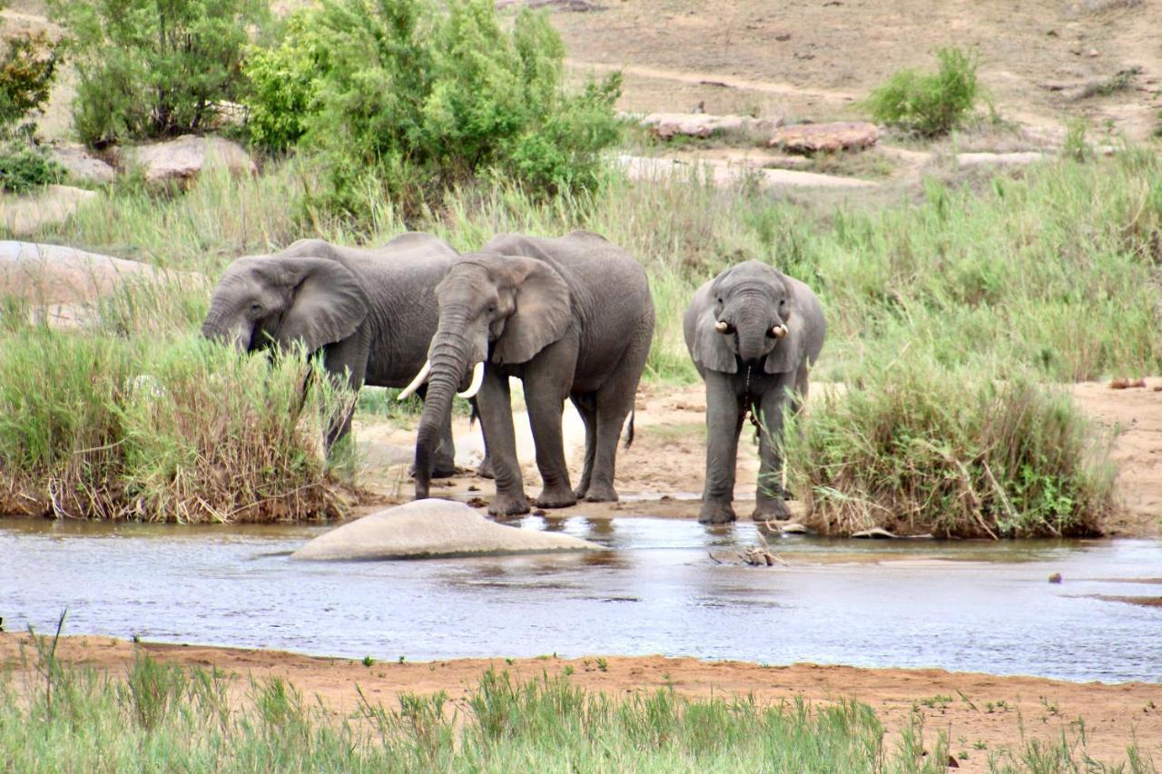 Jackals Dream - Self Catering Villa Bordering Kruger National Park 玛洛斯帕克 外观 照片