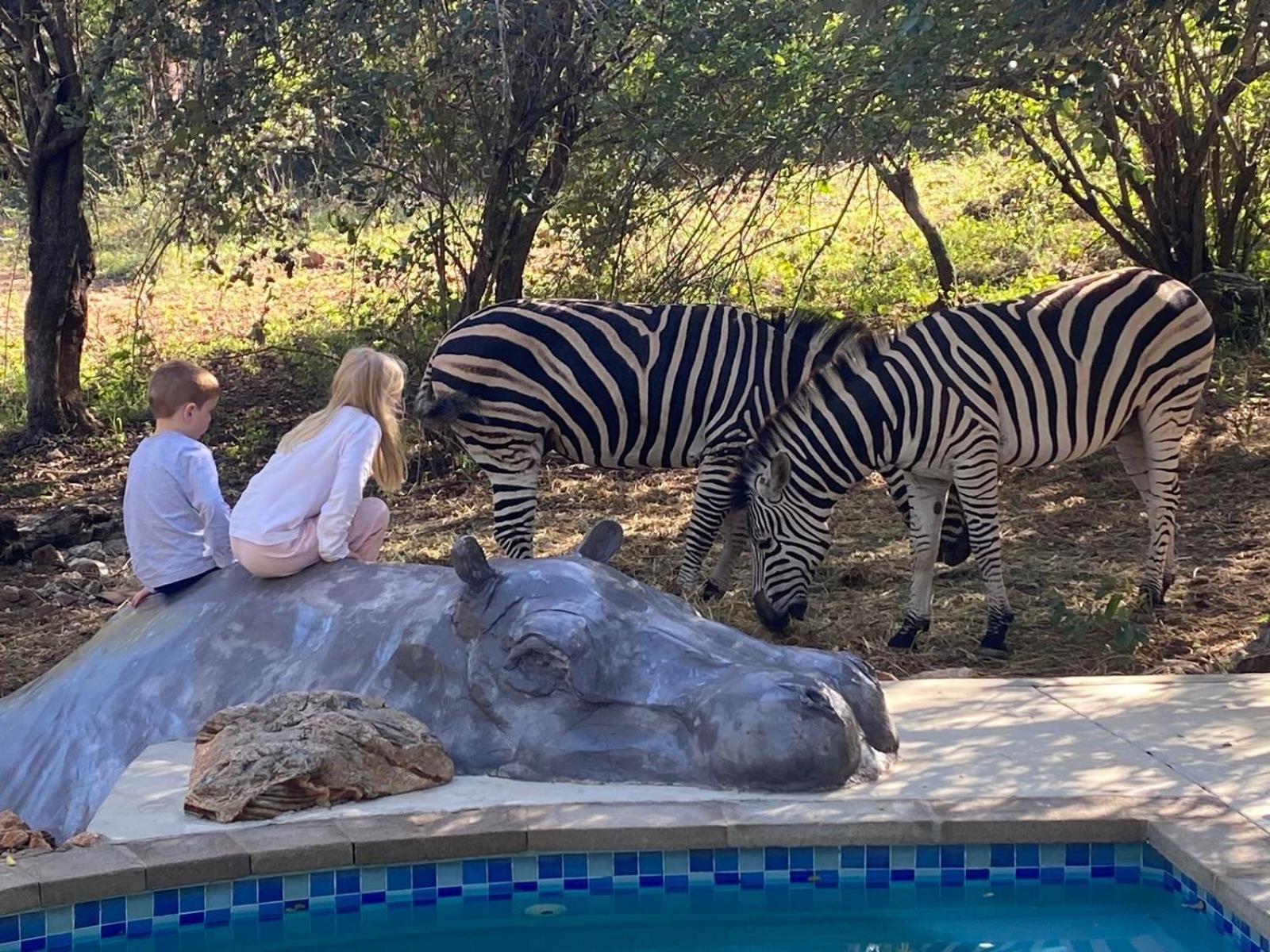 Jackals Dream - Self Catering Villa Bordering Kruger National Park 玛洛斯帕克 外观 照片